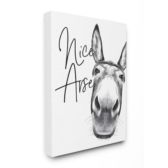 Stupell Industries Animal Humor Nice Arse Donkey Bathroom Phrase Canvas Wall Art